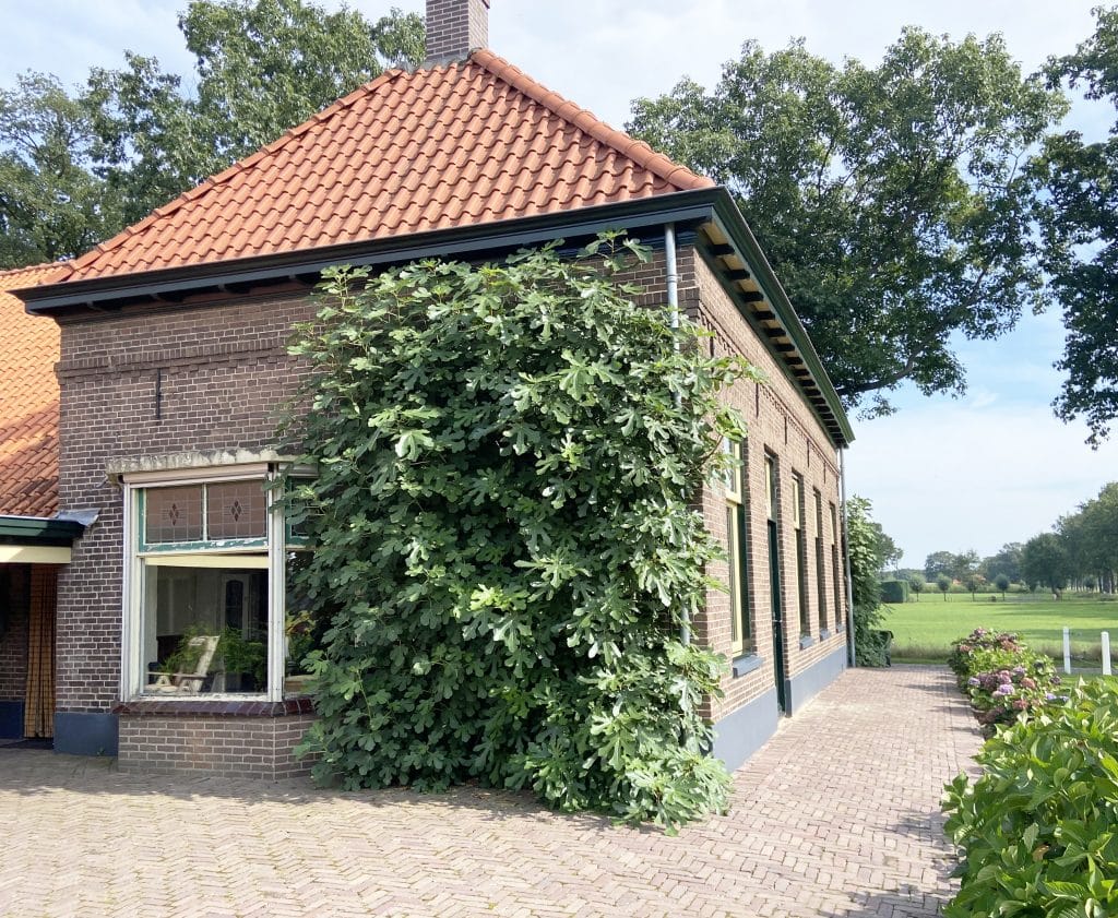 Origineel dwars voorhuis T boerderij Zwiep Achterhoek